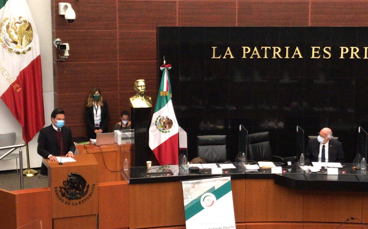 Zoé Robledo en su comparecencia en el Senado de la República. (Twitter)