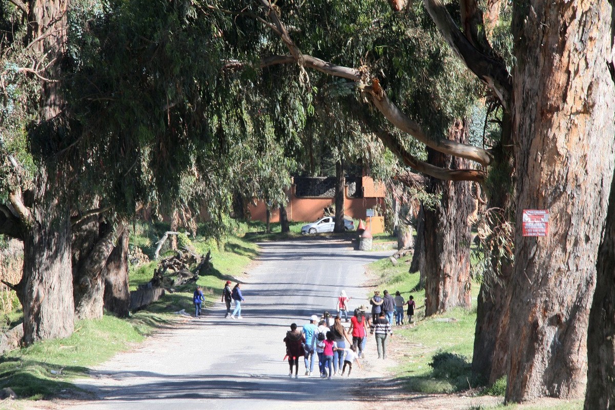 Autoridades de salud piden mantener las medidas preventivas. (Sergio Sánchez-Hidalgo)