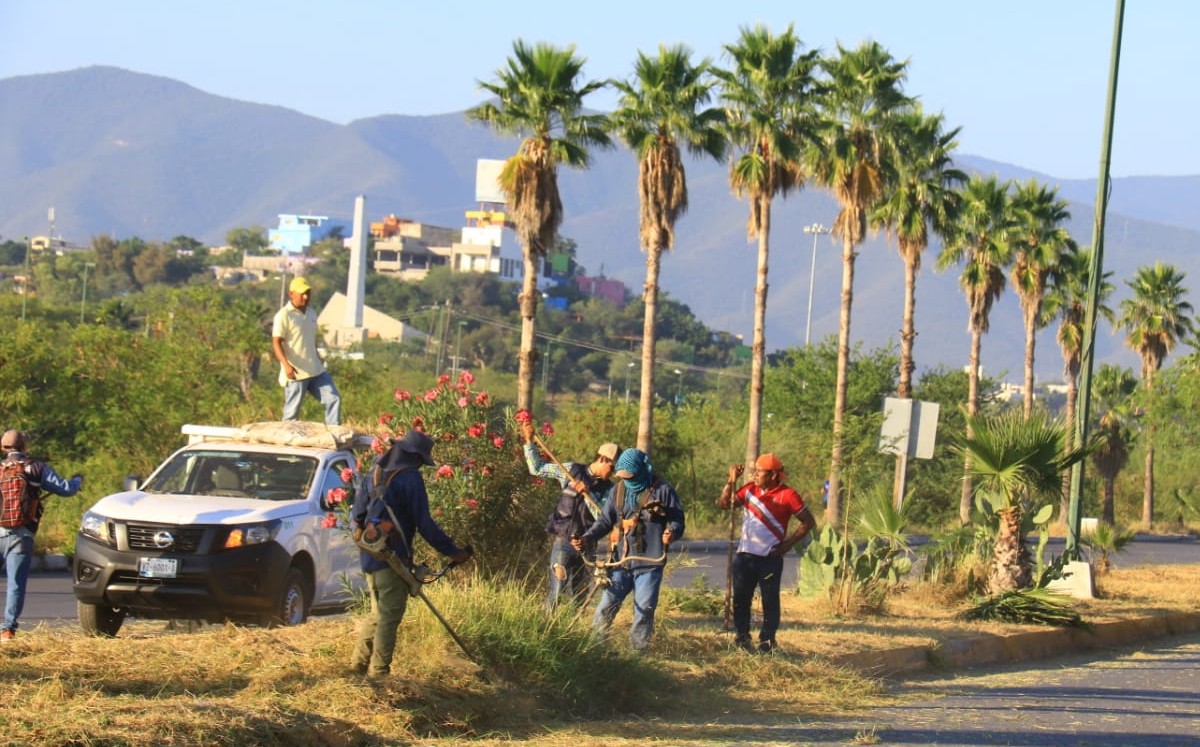 Rehabilitan 46 áreas verdes en Ciudad Victoria. (Cortesía)