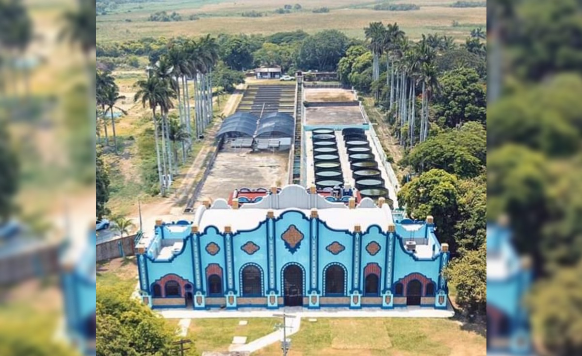 Casa de la Naturaleza de Tampico (Foto/archivo)