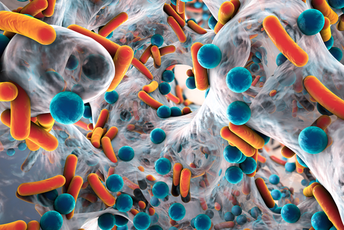 Descubren que bacterias pueden viajar entre continentes en polvo atmosférico. (Shutterstock)