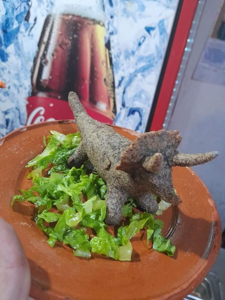 El negocio de las Dino-quesadillas está ubicado en San Antonio de Las Alanzas, en el municipio de Arteaga. (Cortesía)