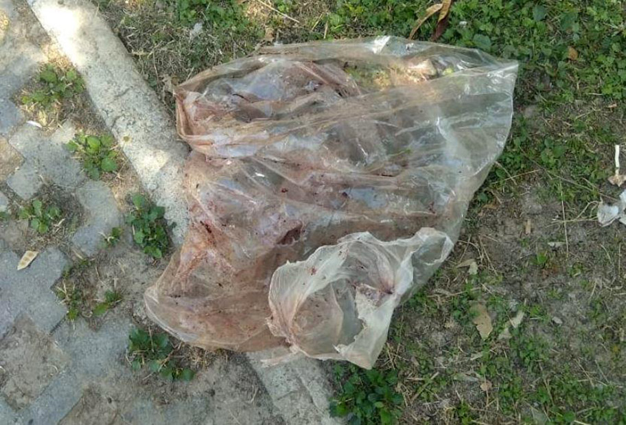 Envenenan a siete perros en fraccionamiento de Gómez Palacio. (Especial)