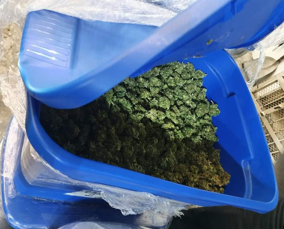 Aseguran carga de droga en Coahuila. (Especial)