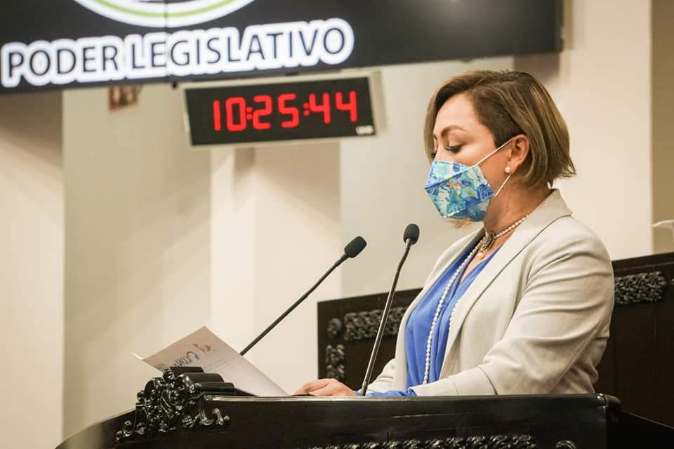 Claudia Lilia Luna Islas, diputado del PAN. (Cortesía)