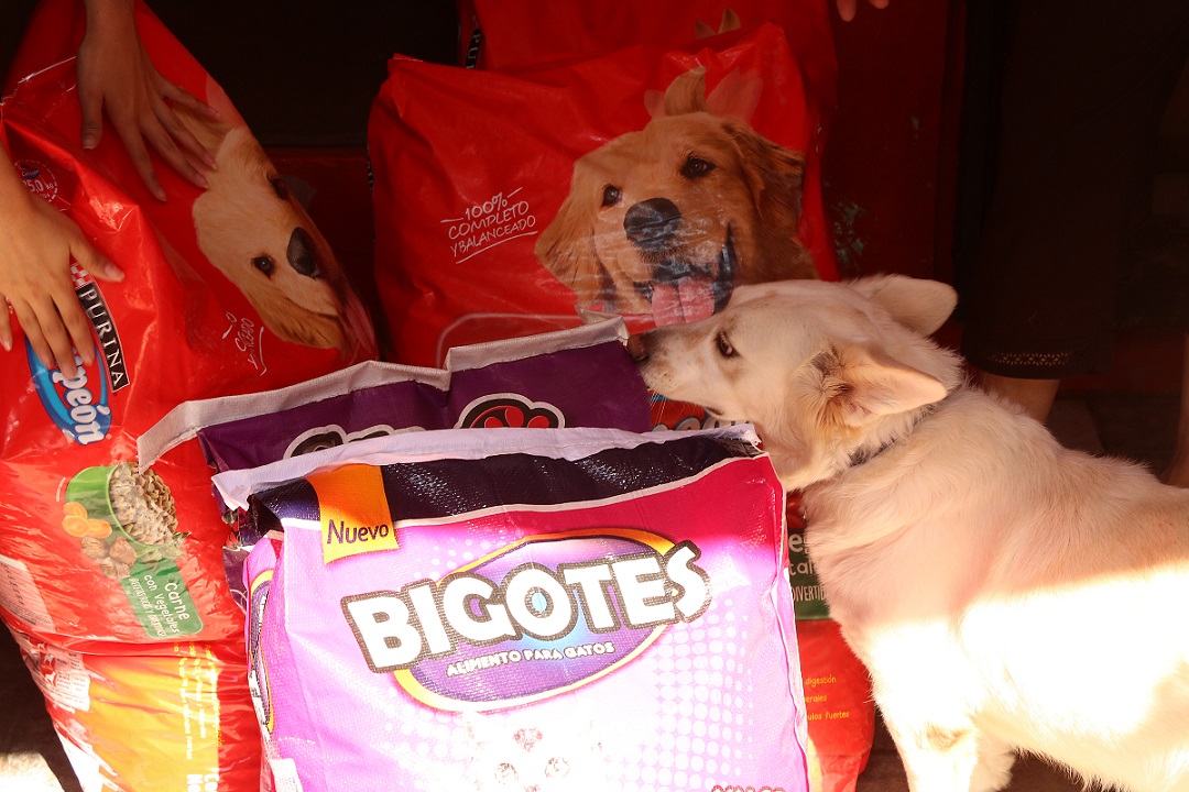 Entrega de 100 kilos de croquetas para perro y 30 kilos de alimento para gato. Foto: Leonel Rocha.
