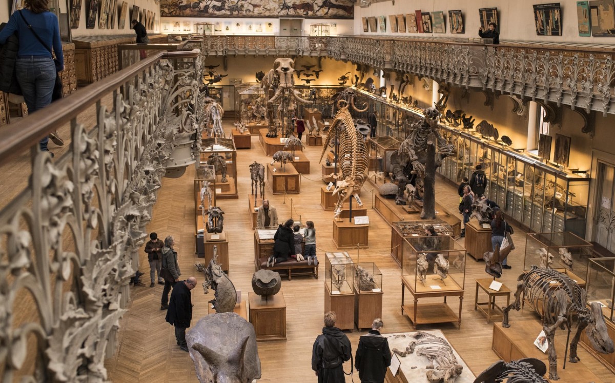 El museo desea restaurar el esqueleto de mamut que tiene más de un millón de años (Facebook).