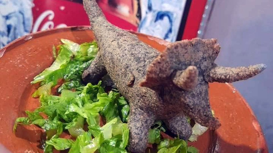Las 'Dino-quesadillas', el sabor de la creatividad en Coahuila
