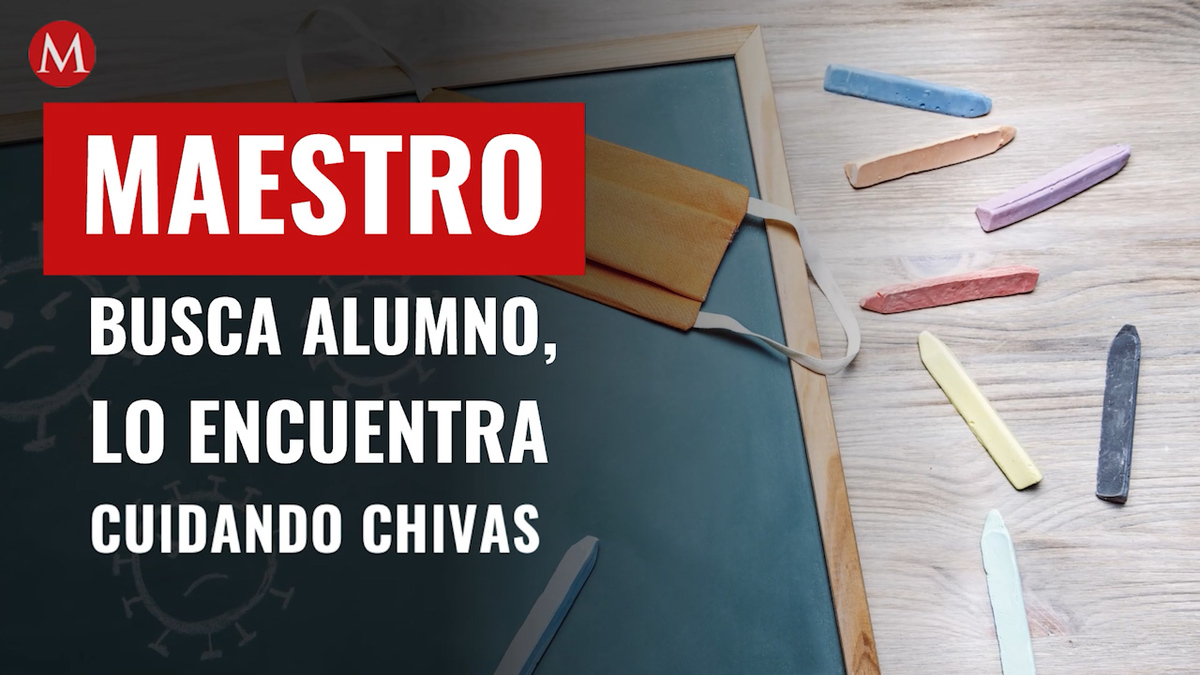 Maestro en Tamaulipas acude a vigilar a niño que no entrega tareas, lo encuentra cuidando rebaño