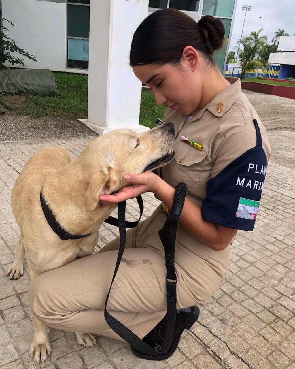 Elementos de la Marina adoptaron al perrito rescatado en Tabasco. (Semar)