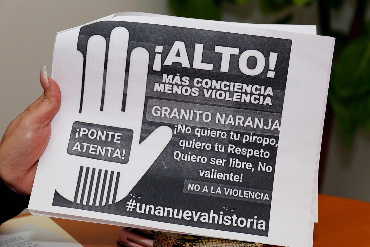 Las asesorías se realizarán de manera virtual con funcionarios públicos y empleados del municipio. (Rolando Riestra)