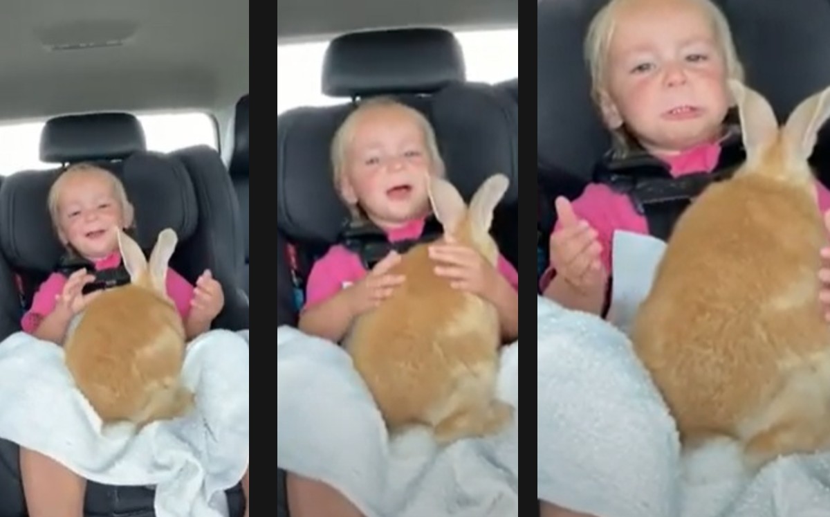 Niña reacciona a  una nueva mascota. (Captura)