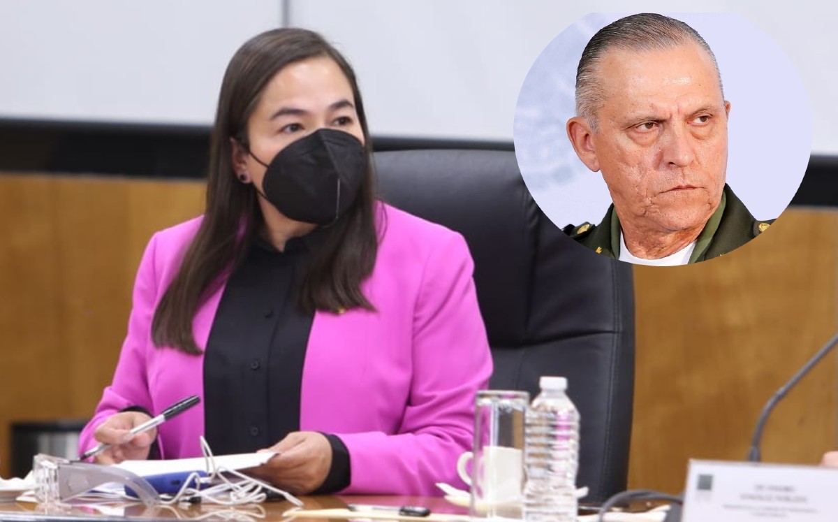 El fiscal Alejandro Gertz debe actuar con absoluta transparencia, expresó la perredista. (PRD y Daniel Cruz)
