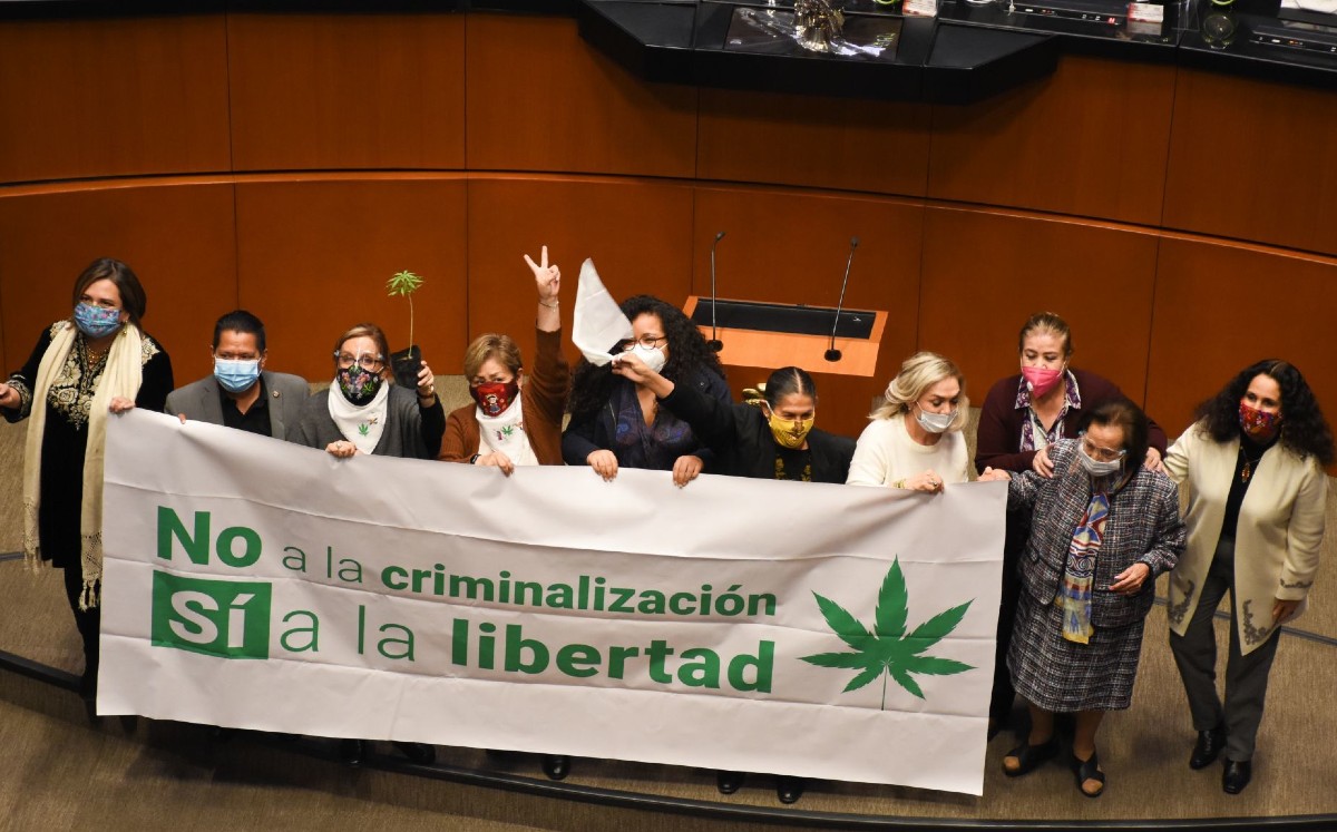 El dictamen pasa a la Cámara de Diputados para su discusión y eventual aprobación. (Cuartoscuro)