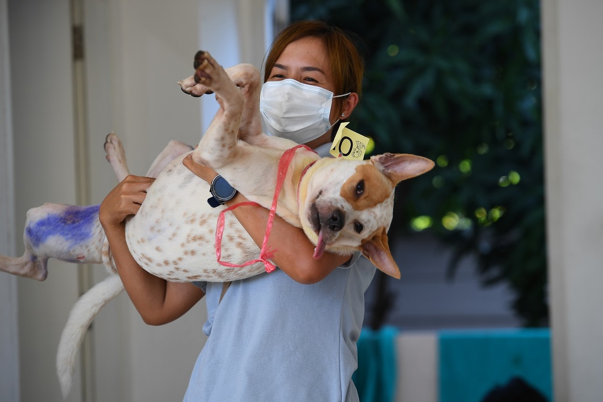 Una joven lleva su perro al veterinario. Foto: Getty Images/NurPhoto