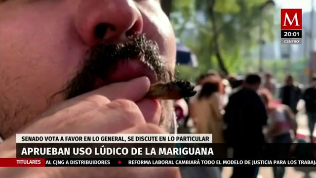 Senado aprueba en lo general y particular regulación de la mariguana