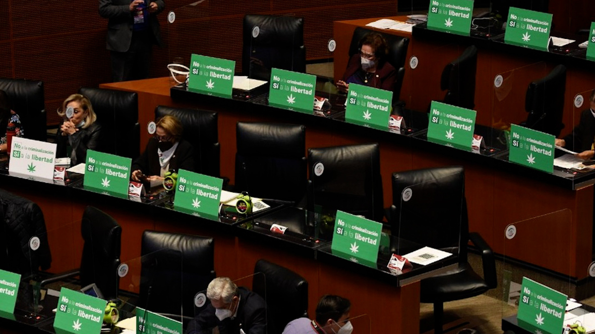 Senado aprueba en lo general dictamen sobre uso lúdico de la mariguana