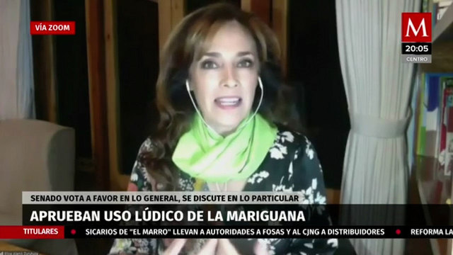 Senado vota a favor del uso lúdico de la Mariguana