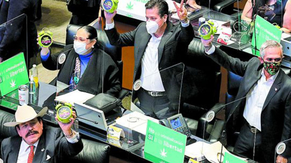Aprueba el Senado el uso lúdico de la mariguana