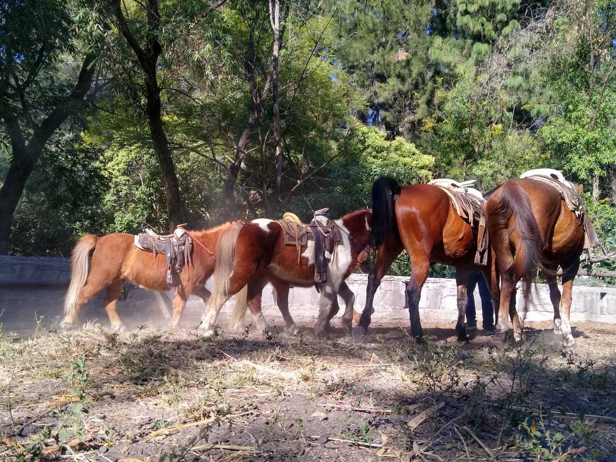 Los propietarios piensan en acabar bien el año (María Ramírez)