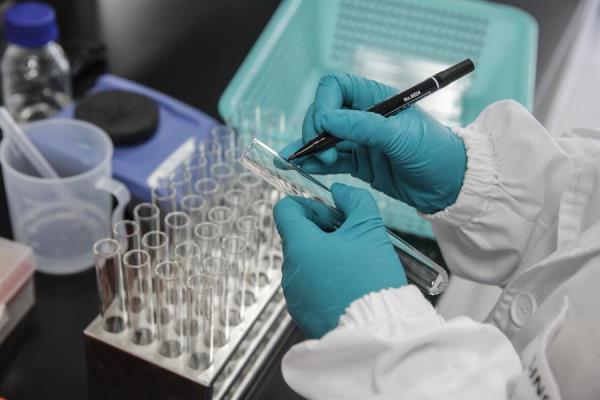 La vacuna de Oxford y AstraZeneca tiene una efectividad del 70,4 %. (EFE)