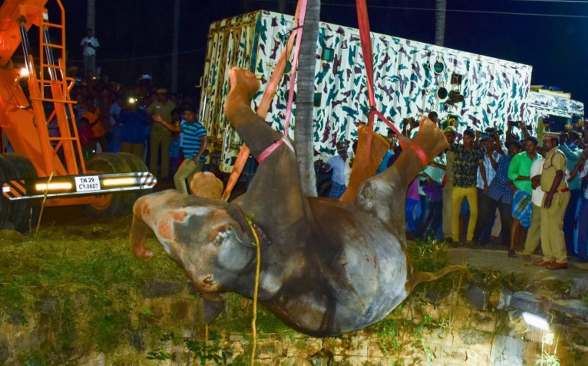 El suceso ocurrió en el distrito de Dharmapuri, en el Estado de Tamil Nadu. (AFP)
