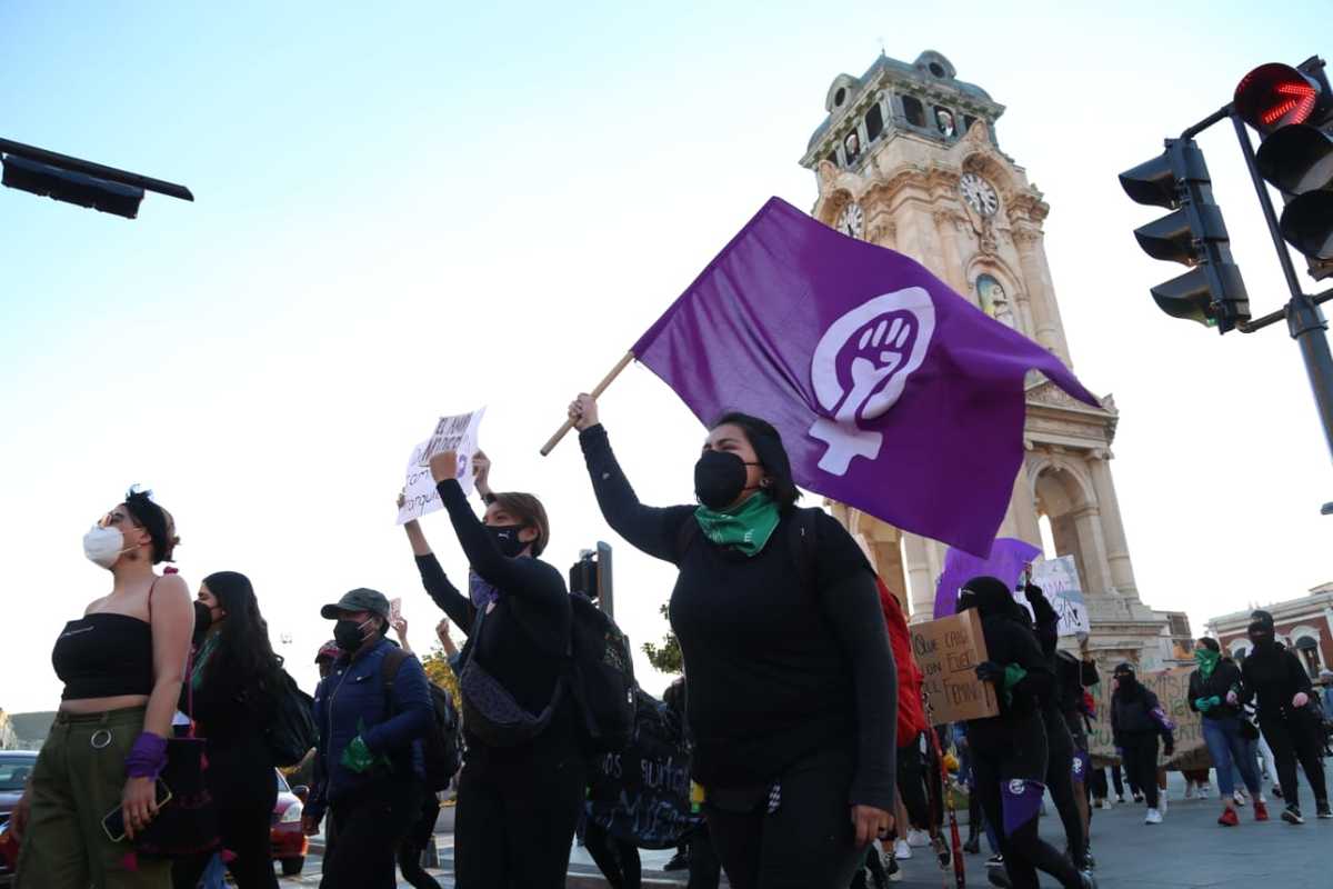 Marcha del 25N por las principales calles de la ciudad. (Jorge Sánches)