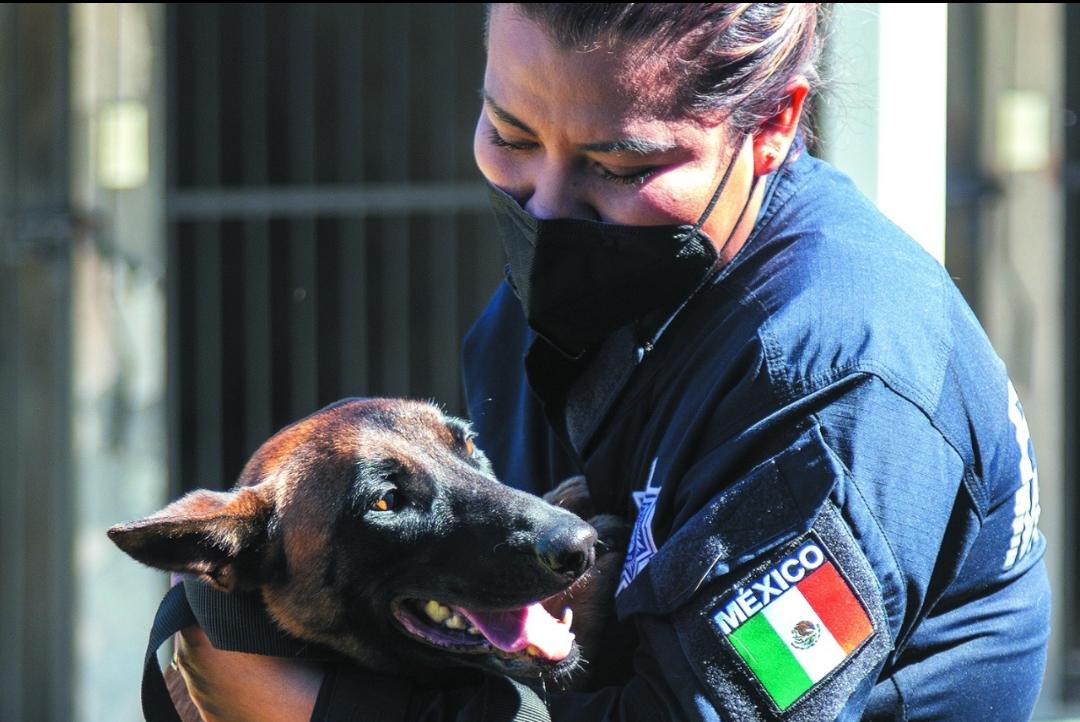 Unidad Canina K9 de la SSC. (Andrés Lobato)