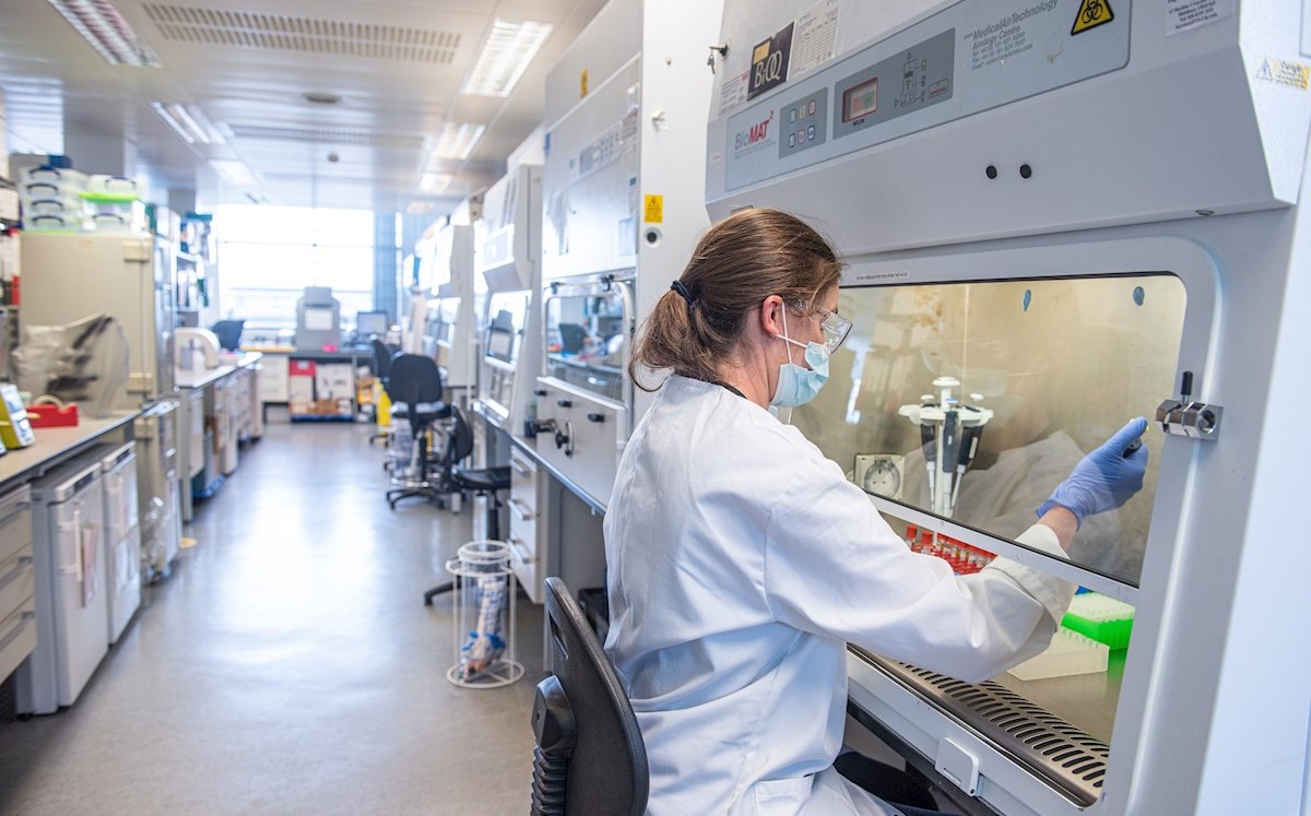 Oxford admitió implícitamente la presencia de errores durante la administración de la vacuna contra el coronavirus en los ensayos clínicos. (EFE)