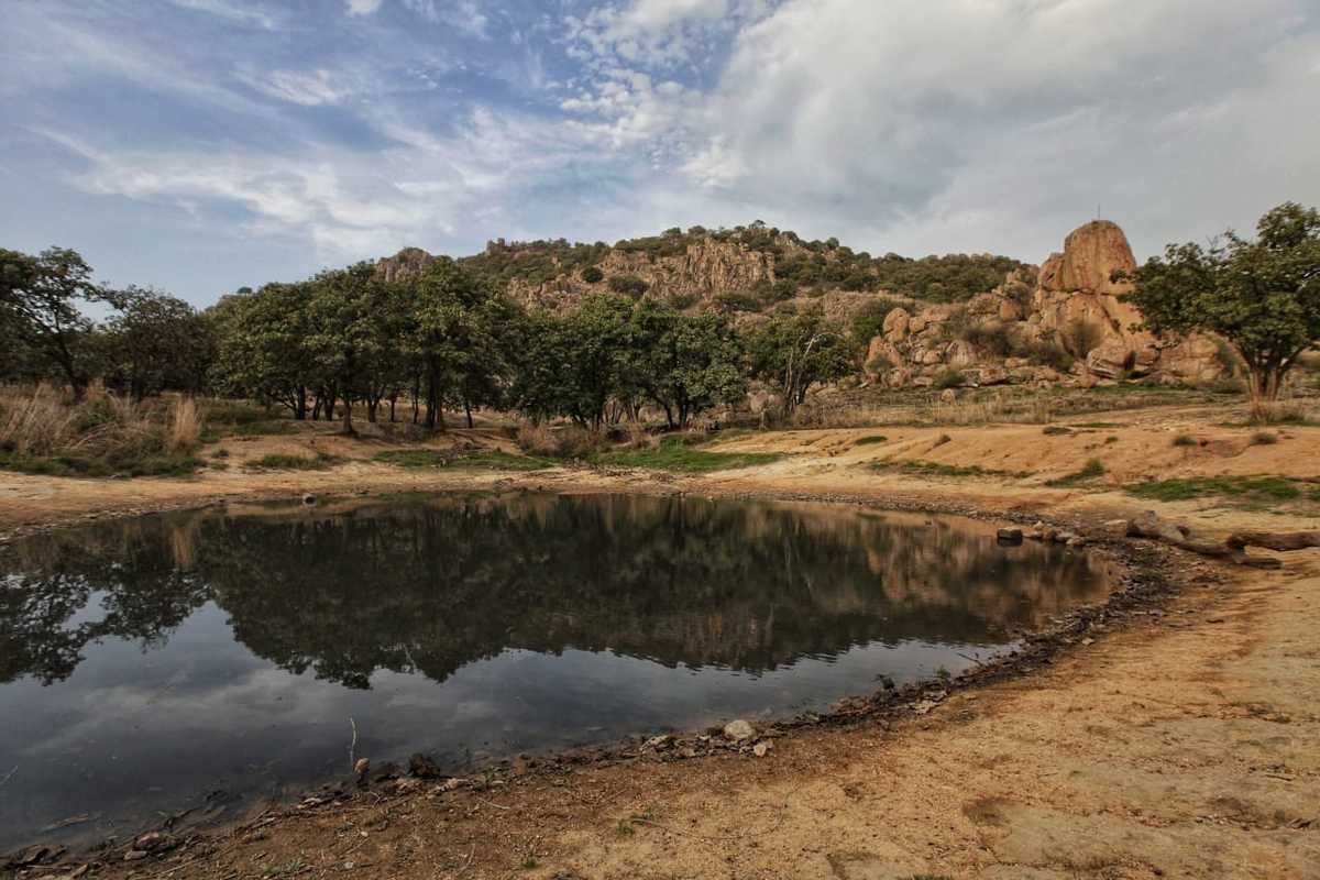 Bosque El Nixticuil, área natural protegida (Twitter @SemadetJalisco)