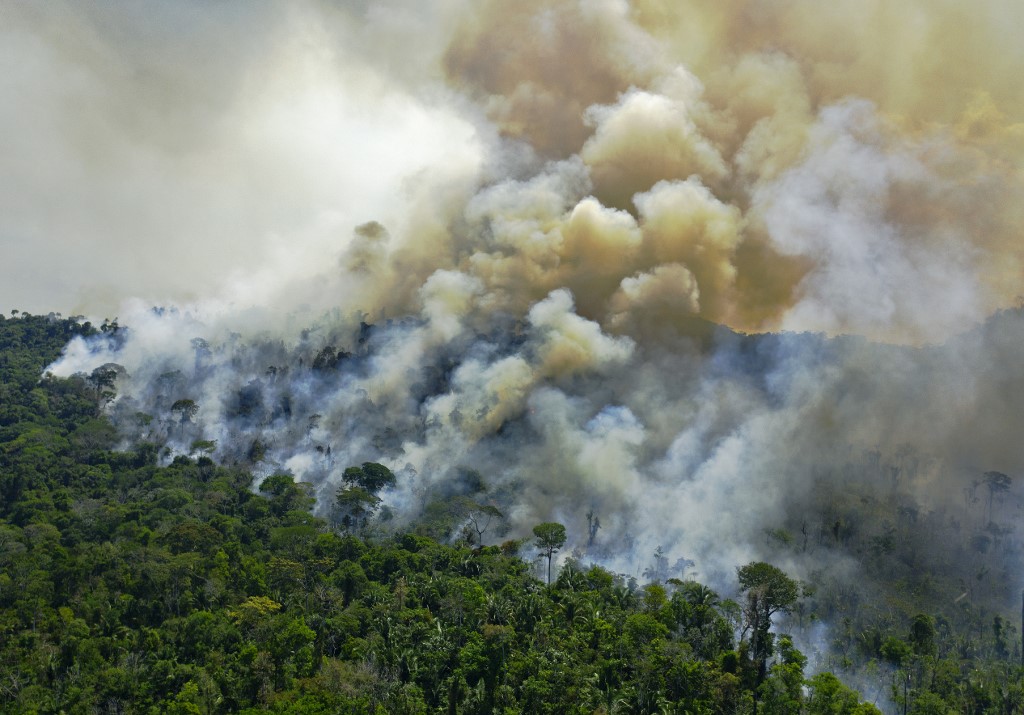 El Amazonas brasileño perdió cerca de 9.5 por ciento de su vegetación en el último año. (AFP / Archivo)