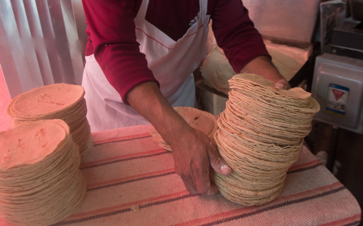 Analizan aumentar el precio de la tortilla en México. (Cuartoscuro)