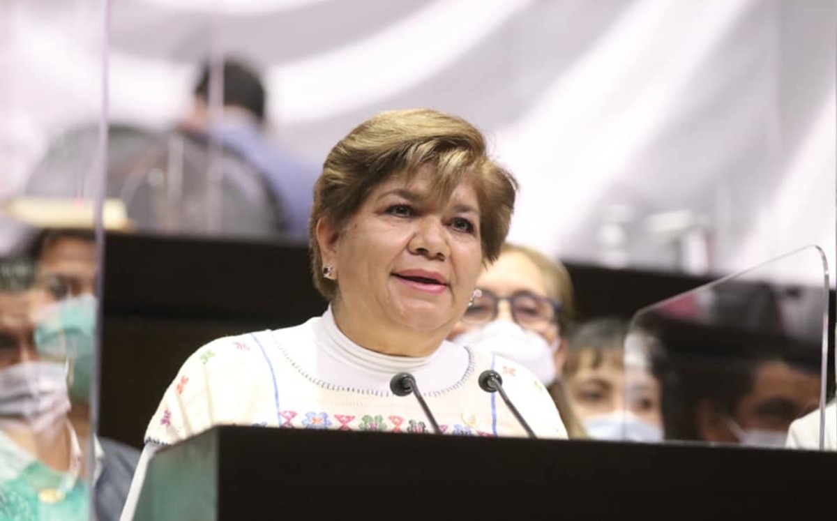 María Eugenia Hernández, diputada federal de Morena. (Facebook)