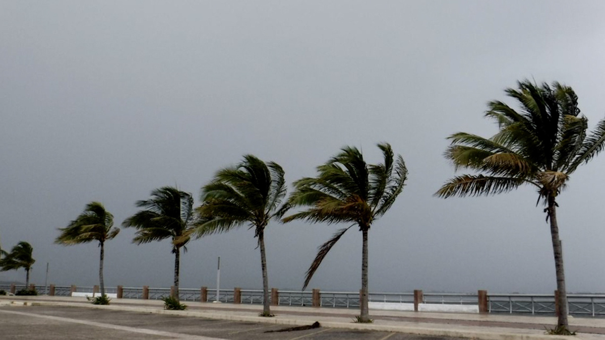 Concluye temporada de ciclones tropicales, pero Conagua no descartan que haya más