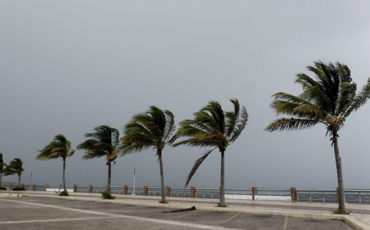 Tanto la costa este como la oeste se han visto afectadas por la llegada de fenómenos meteorológicos. (Cuartoscuro)