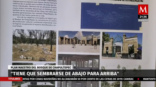 Entrevista, Gabriel Orozco, artista. Exposición sobre las obras en el Bosque de Chapultepec