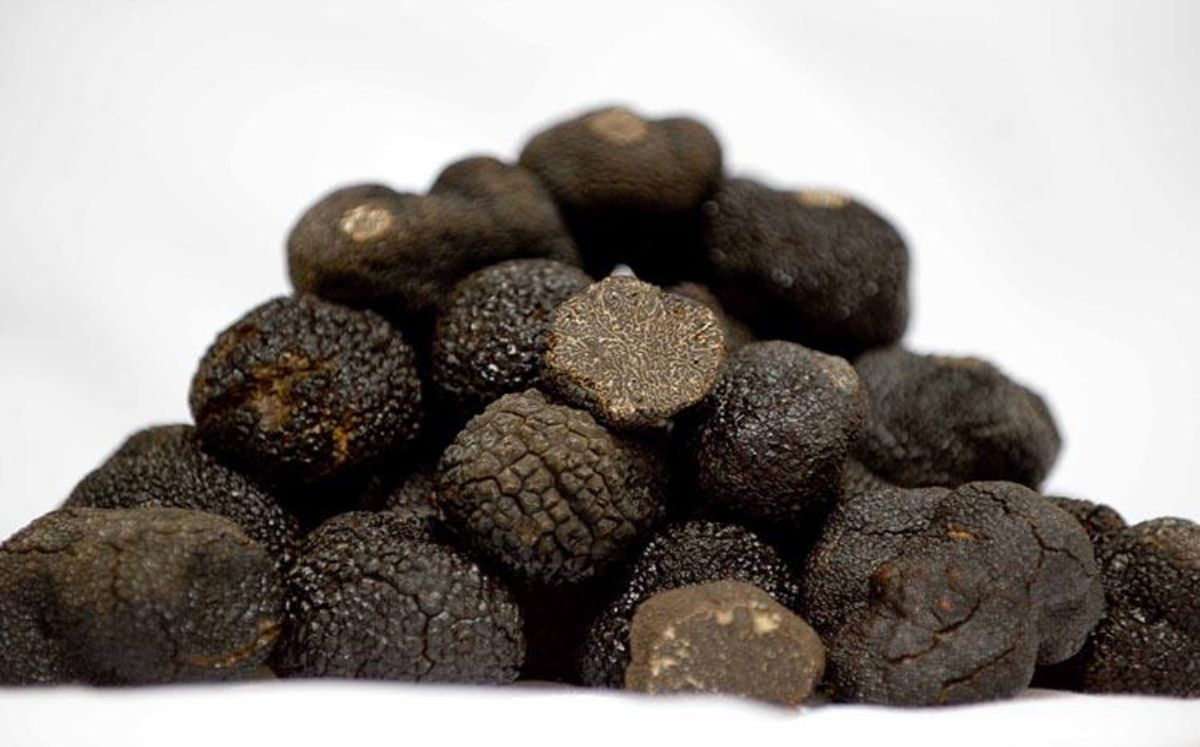 Trufas negras (@agrofogones en Twitter).
