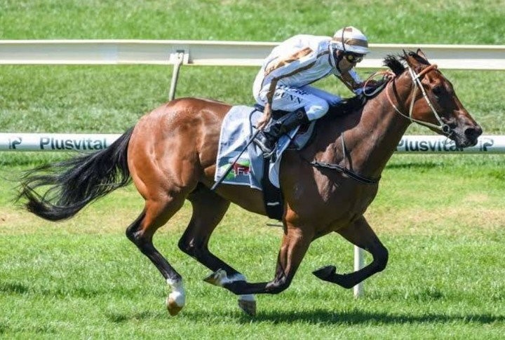 Dwayne Dunn (@SwettenhamStud)