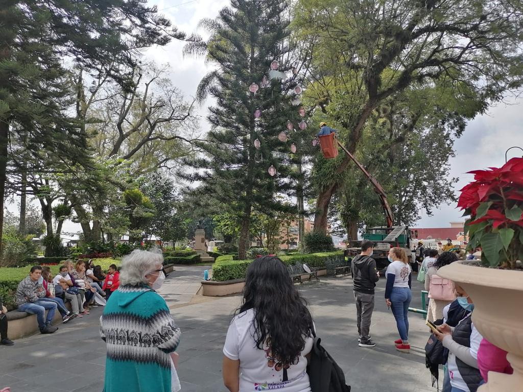 Las fotos de las personas desaparecidas fueron colocados en el pino. (Isabel Zamudio)