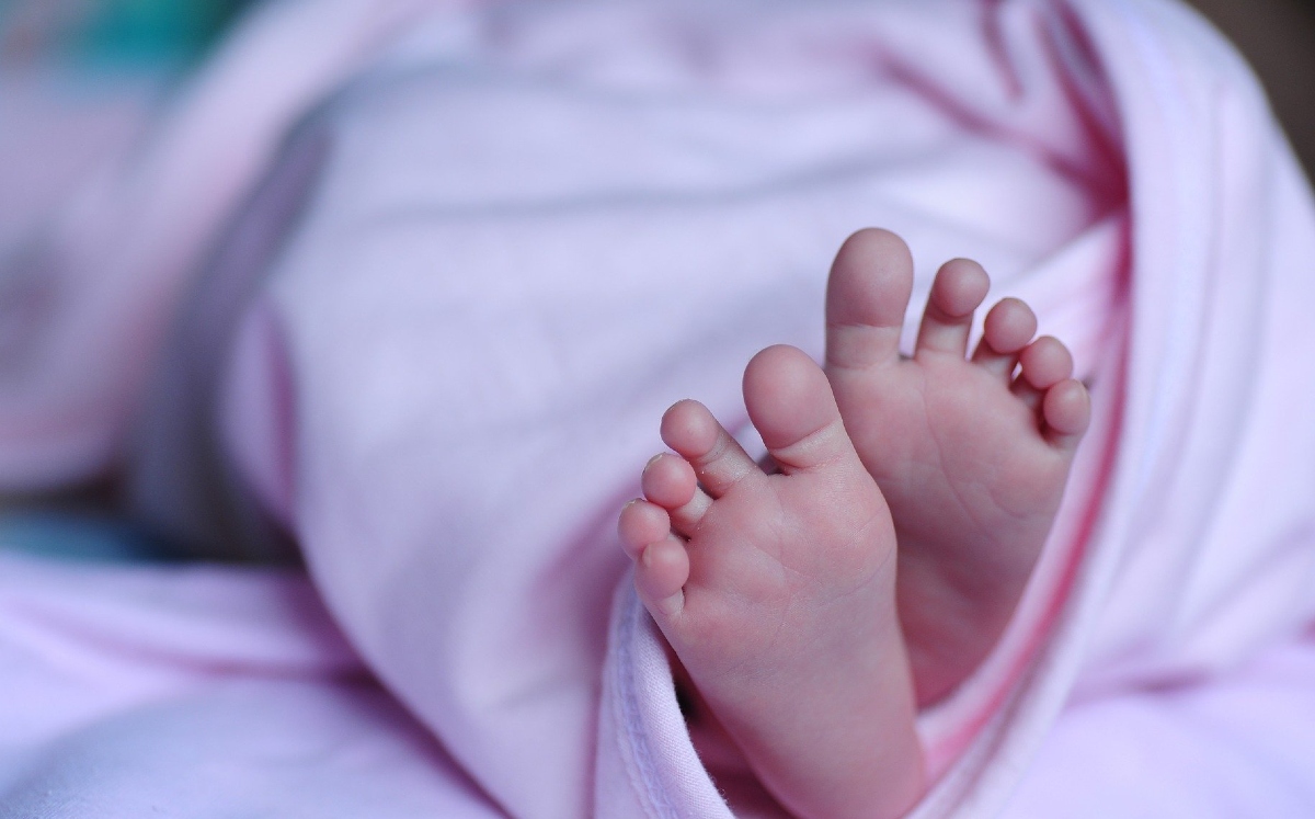 Molly también tiene una hermana que nació de un embrión congelado (Pixabay).