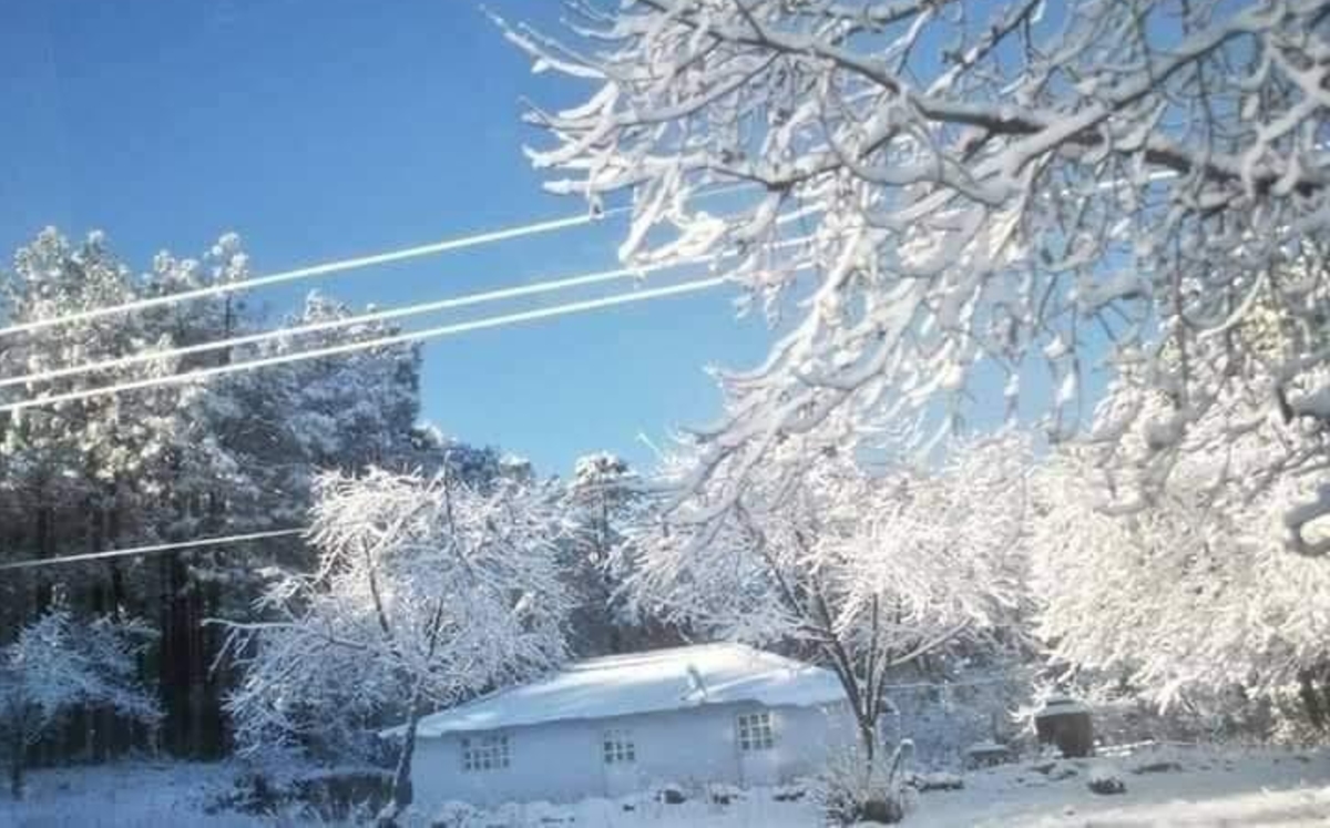 Algunos de los municipios de Chihuahua amanecieron cubiertos de nieve. (Especial)
