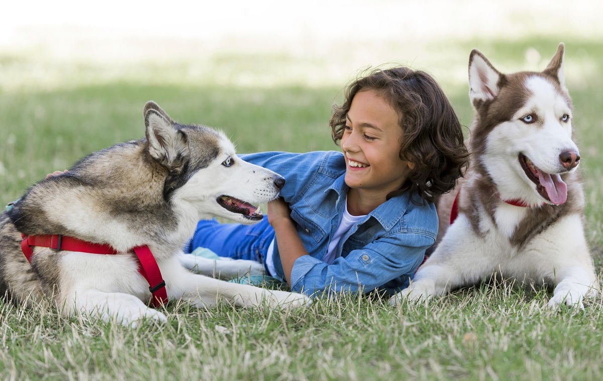 Los niños y niñas podrán realizar postres que compartirán con sus mascotas. (Freepik)