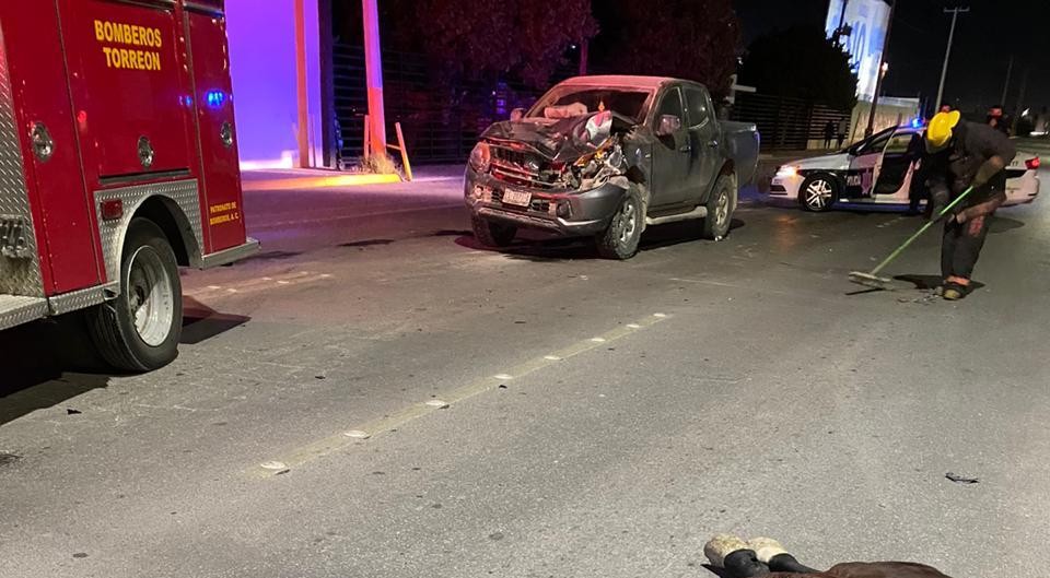 El caballo fue impactado por un auto y luego fue impulsado a la otra calle donde también fue impactado. (Especial)