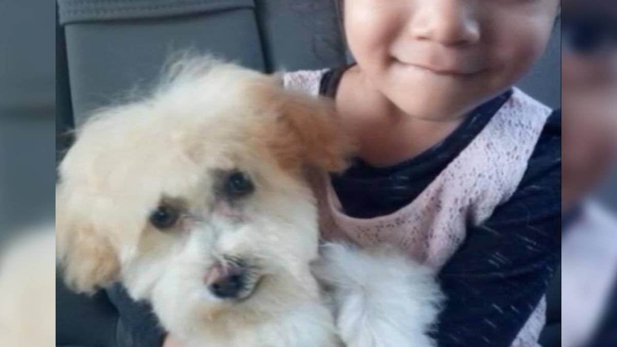 Sofi tiene distrofia muscular y necesita 100 mil pesos para un perrito de apoyo