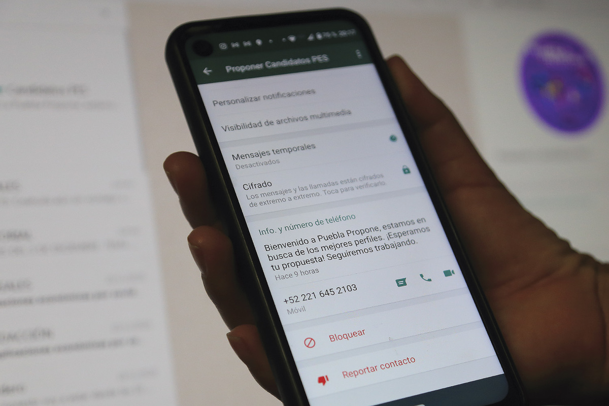 PES abre WhatsApp para sugerir perfiles. (Andrés Lobato)