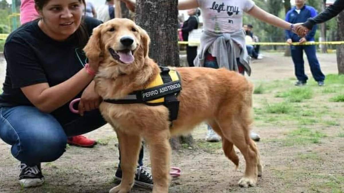 Primer perro de asistencia en León será entregado en 2022