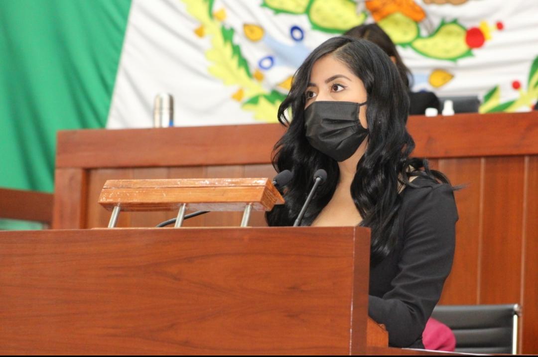 Diputada María Félix Pluma. (Especial)