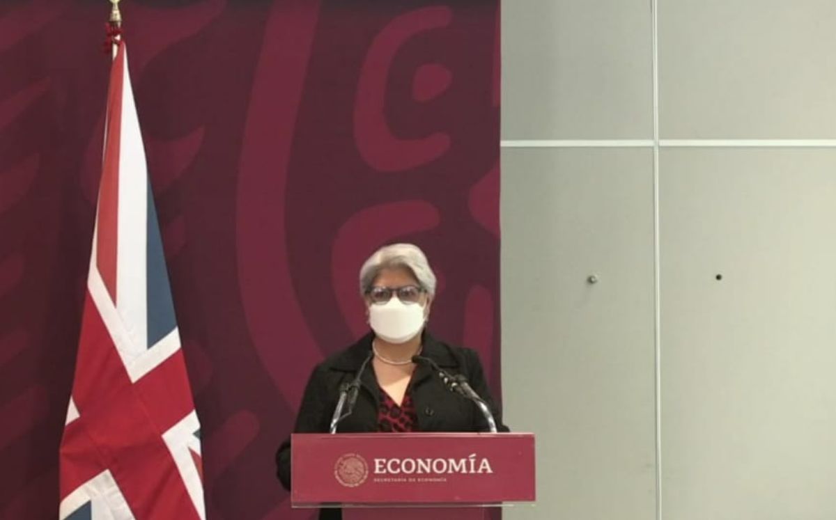 Graciela Márquez Colín, titular de Economía. Foto: (Especial)