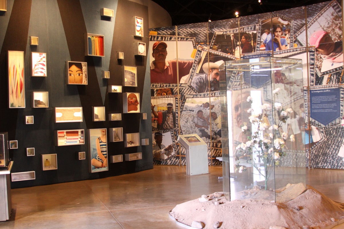 Museo del Algodón. (Claudia Luévano)