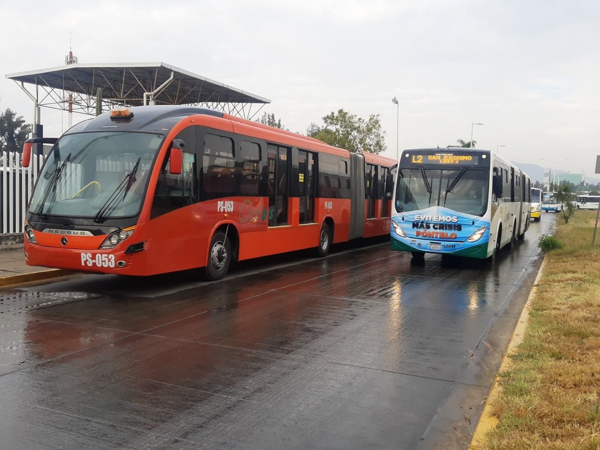 Incorporan en León 50 autobuses de transporte Público más en diciembre